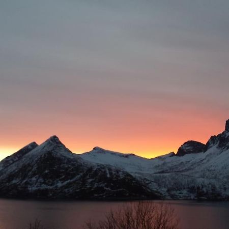 Senja, Husoy I Senja. Leilighet Med Utsikt Over Fjord Og Fjell Tofta Екстериор снимка