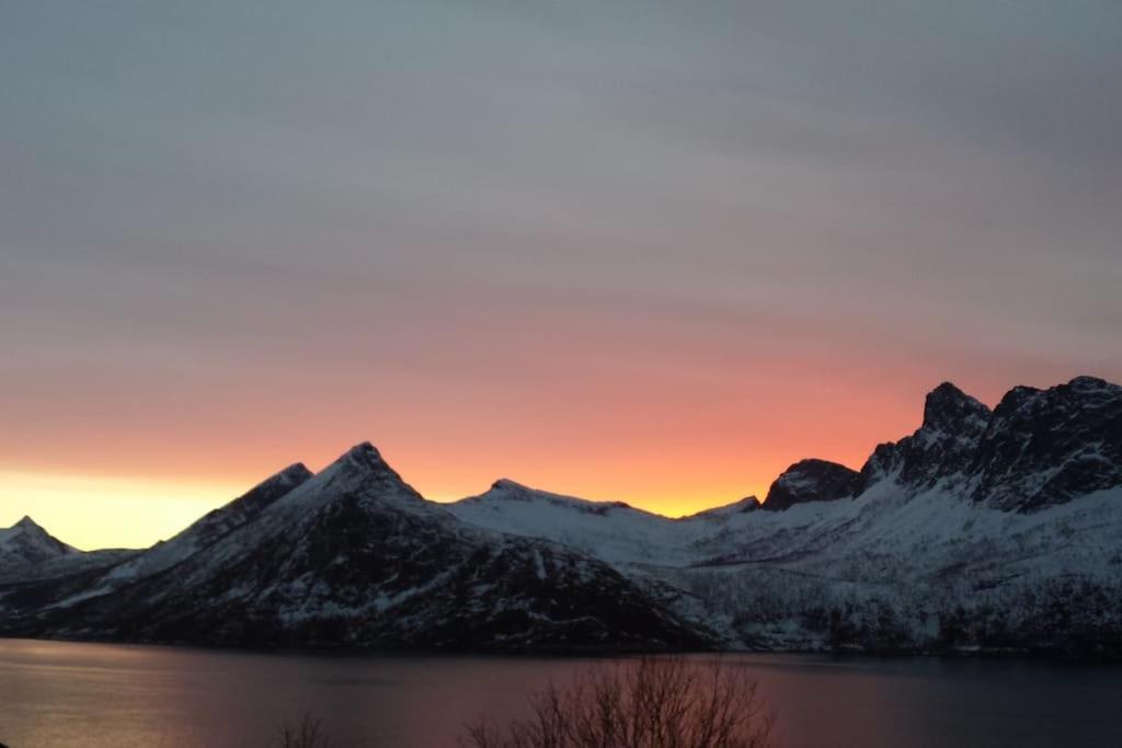 Senja, Husoy I Senja. Leilighet Med Utsikt Over Fjord Og Fjell Tofta Екстериор снимка