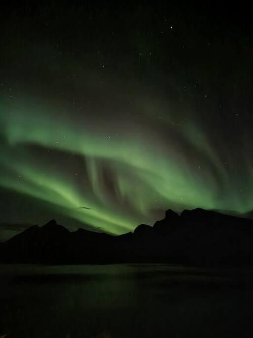 Senja, Husoy I Senja. Leilighet Med Utsikt Over Fjord Og Fjell Tofta Екстериор снимка